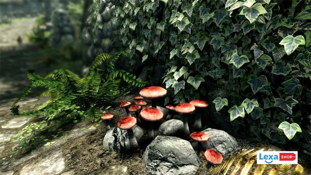 تصویری از جزییات گیاهان در بازی The Elder Scrolls V: Skyrim Special Edition