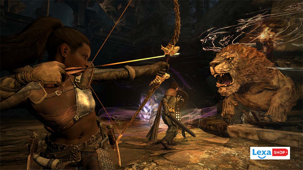 سیستم بسیار جذاب همراه در بازی Dragon's Dogma:Dark Arisen